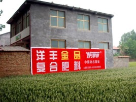 梁河如何让墙体广告展现最大化效果
