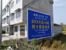 梁河墙体广告质量分析